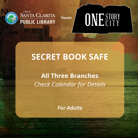Secret Book Safe