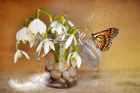 open mason jar with flowers pebbles and a butterfly