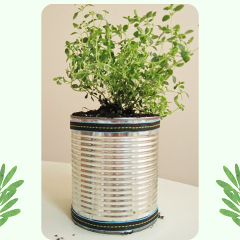 Herb Garden in a can