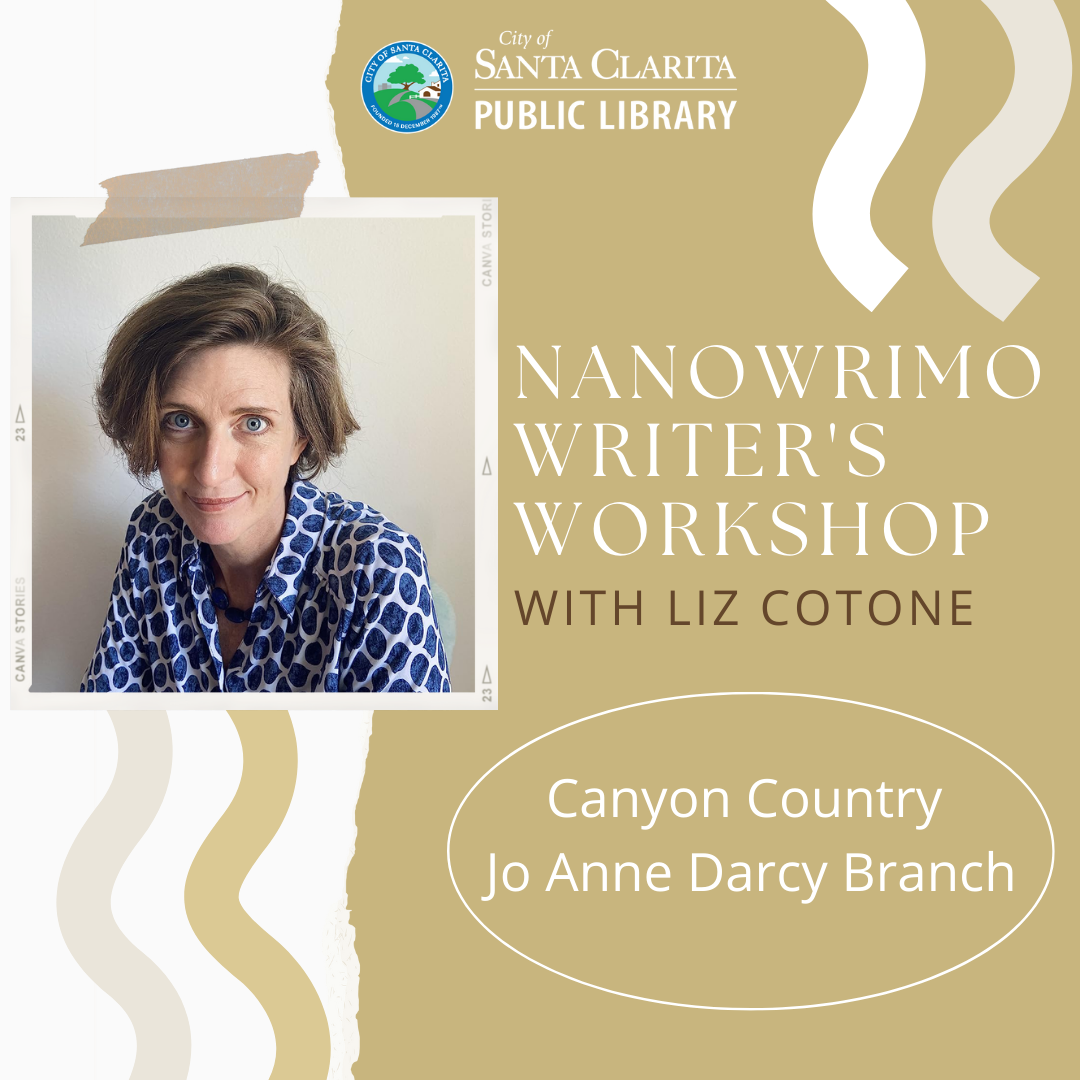 NaNoWriMo Writer's Workshop